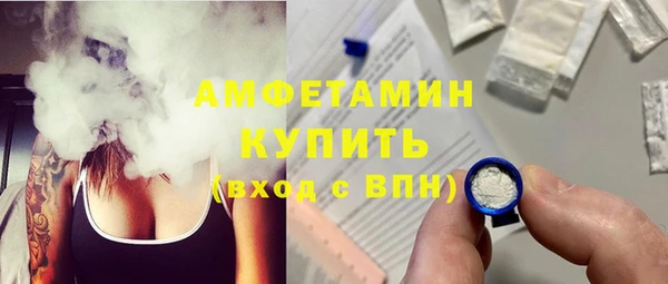 прущие грибы Вязьма