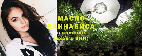 прущие грибы Вязьма