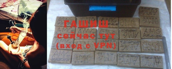 прущие грибы Вязьма