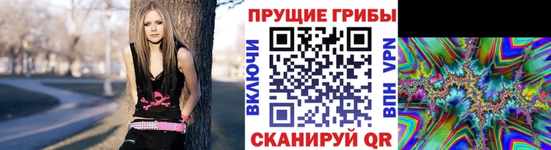 это официальный сайт  Грязовец  Псилоцибиновые грибы Magic Shrooms 